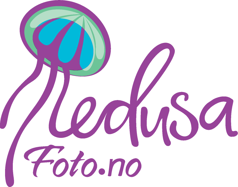 Logo for Medusafoto